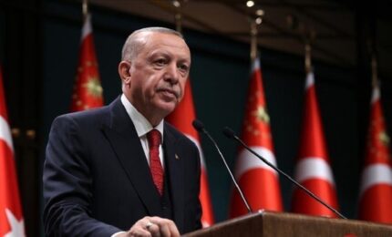 Erdogan: Ankara nije dobila očekivanu podršku od Alijanse