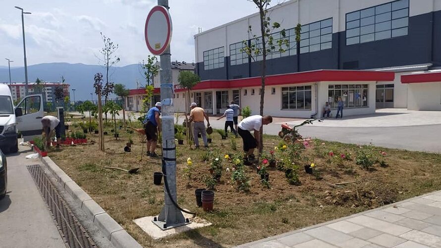 Cvijeće za ljepše Istočno Sarajevo: Uređenje opština u punom jeku
