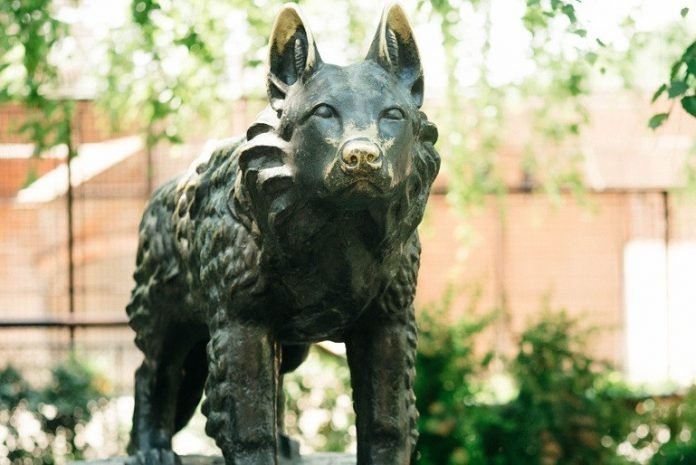 Nevjerovatna i potpuno istinita priča o keruši Gabi, heroju Beograda čiji spomenik i danas stoji u ZOO vrtu