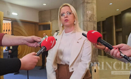 Bursać: Marfiju nedostaje argumenata protiv Dodika