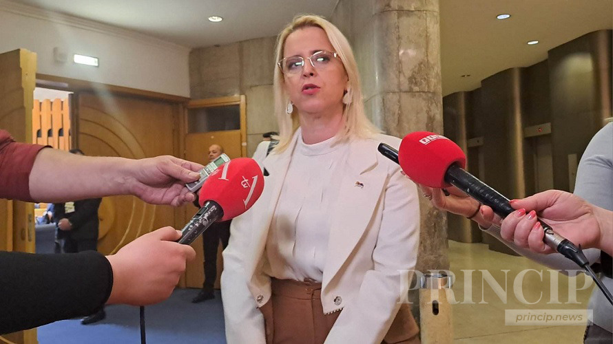 Bursać: Marfiju nedostaje argumenata protiv Dodika