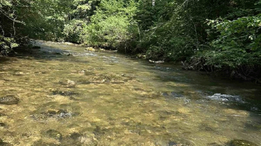 Mladima otkriti čari ribolova i probuditi ljubav prema prirodi (FOTO)