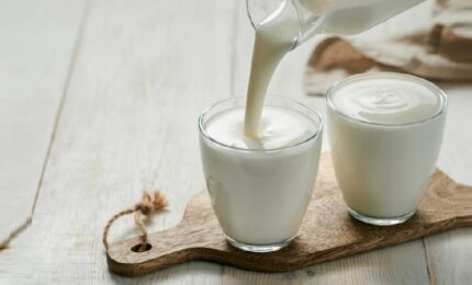 Jogurt pomaže u smanjenju stresa: Prija crijevima, ali i mozgu