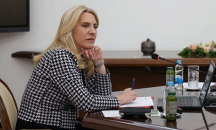 Cvijanović: BiH nije priznala samoproglašeno Kosovo, ne može podržati ni članstvo u Savjet Evrope