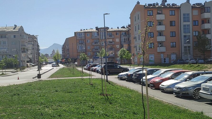 U Istočnom Novom Sarajevu posađeno 150 višegodišnjih stabala